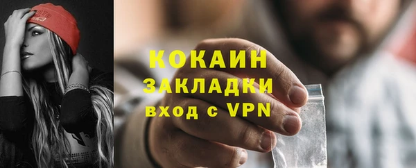 МДПВ Тайга