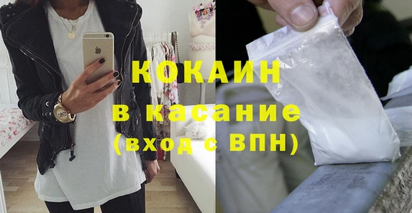 МДПВ Тайга