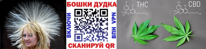 дарнет шоп Пойковский кракен сайт Канабис гибрид